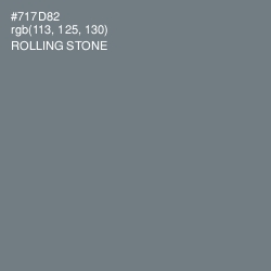 #717D82 - Rolling Stone Color Image